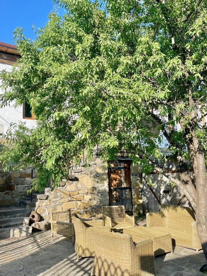 Guest House Savane Gori Luaran gambar