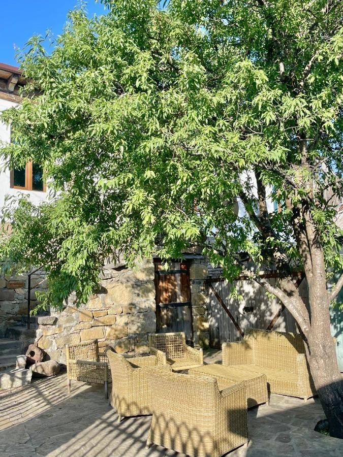 Guest House Savane Gori Luaran gambar